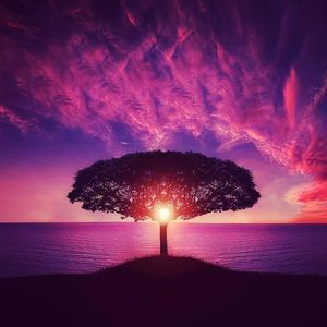 Meet your Posher, Christian